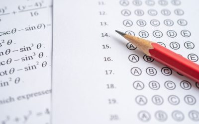 Survivre à la jungle des grandes écoles: le guide non conventionnel