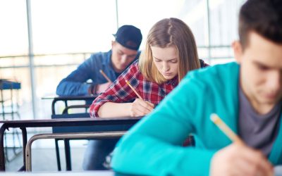Grande école ou la Jungle des concours : Le guide de survie inédit