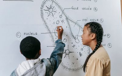 Les super-héros du soutien scolaire : comment ils transforment les échecs en réussites